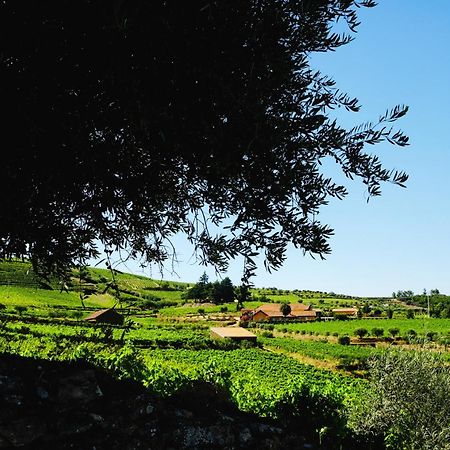 Quinta Do Monte Travesso - Country Houses & Winery Tabuaço Esterno foto