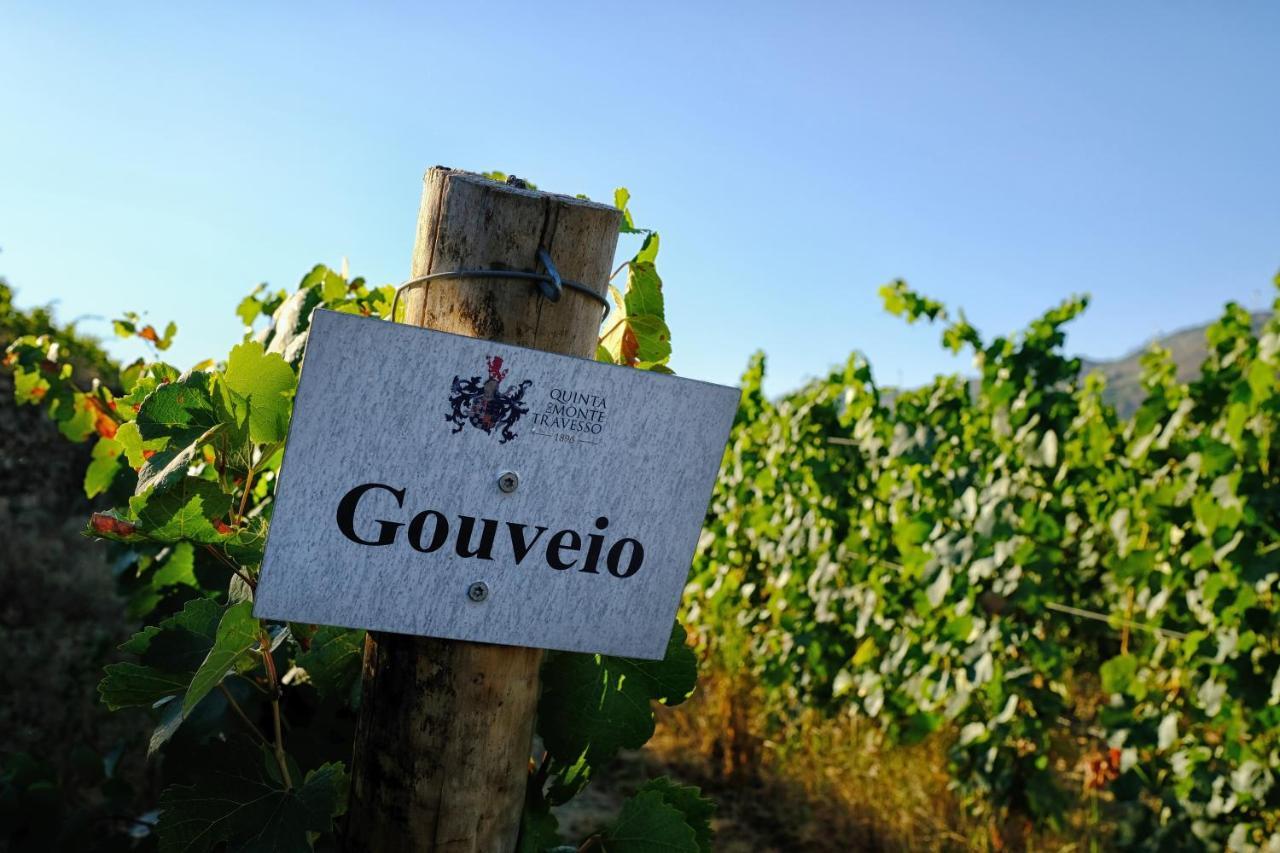 Quinta Do Monte Travesso - Country Houses & Winery Tabuaço Esterno foto