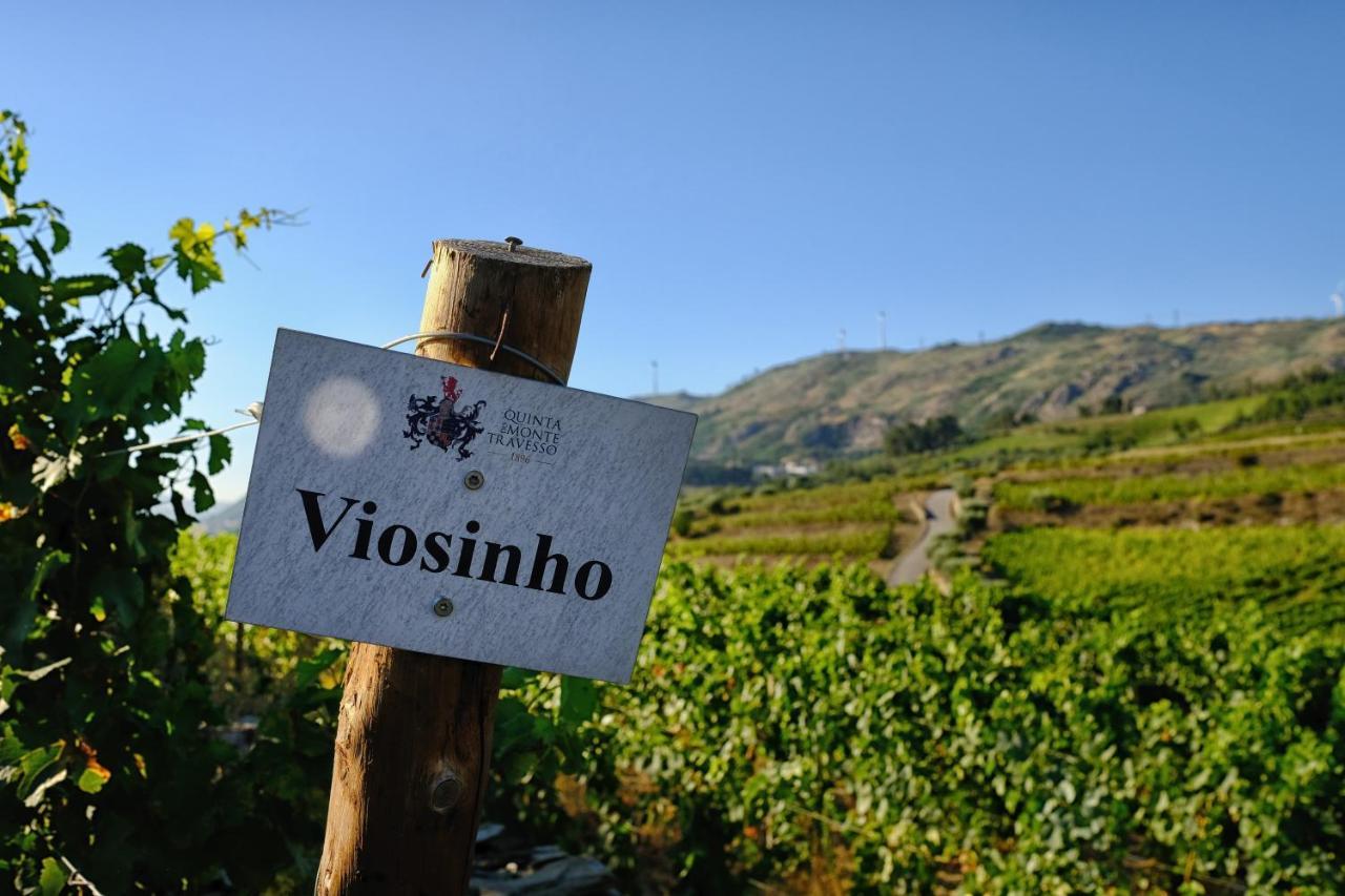 Quinta Do Monte Travesso - Country Houses & Winery Tabuaço Esterno foto