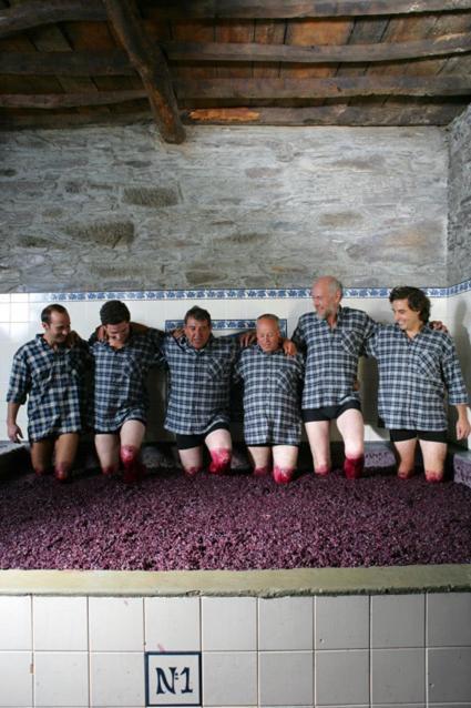 Quinta Do Monte Travesso - Country Houses & Winery Tabuaço Esterno foto
