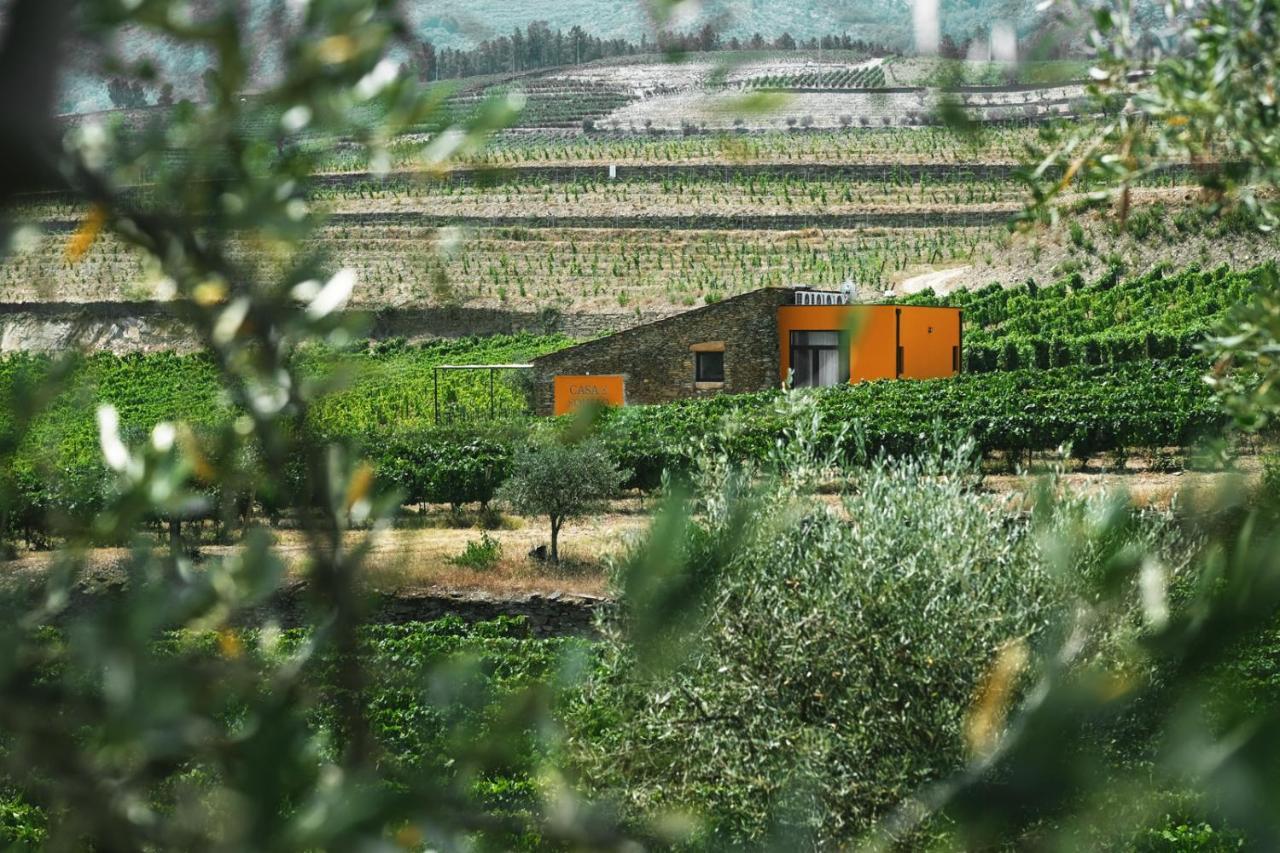 Quinta Do Monte Travesso - Country Houses & Winery Tabuaço Esterno foto